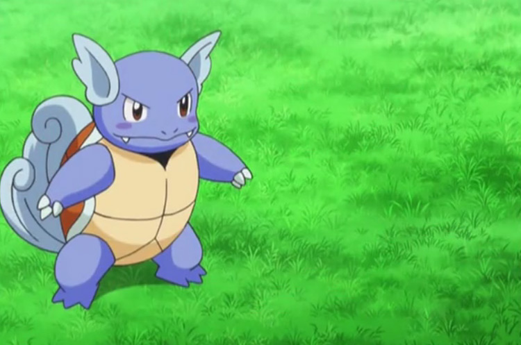 Wartortle